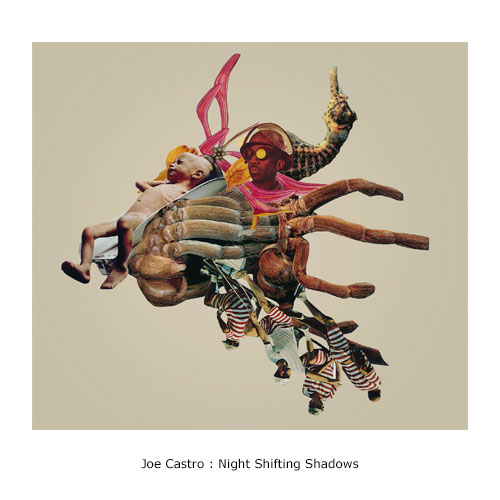 Joe Castro : Night Shifting Shadows